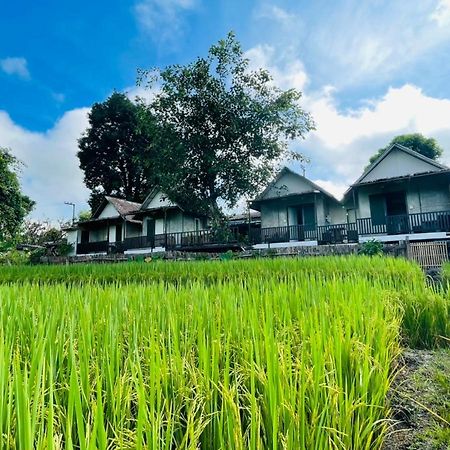 Готель Krathom Doi Luang Чіанґдау Екстер'єр фото