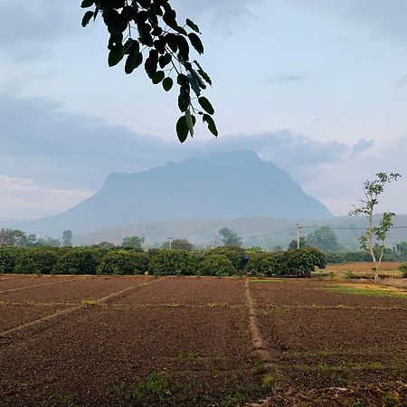 Готель Krathom Doi Luang Чіанґдау Екстер'єр фото