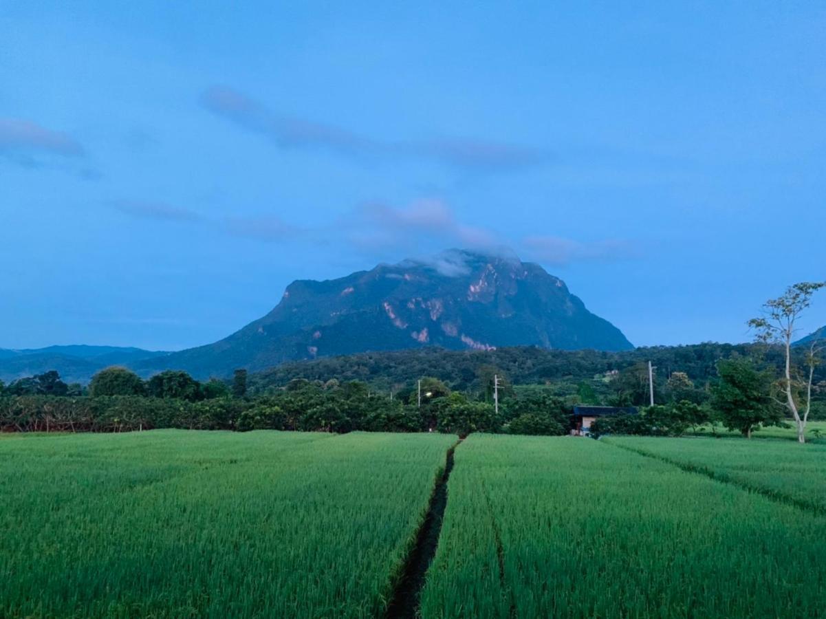 Готель Krathom Doi Luang Чіанґдау Екстер'єр фото