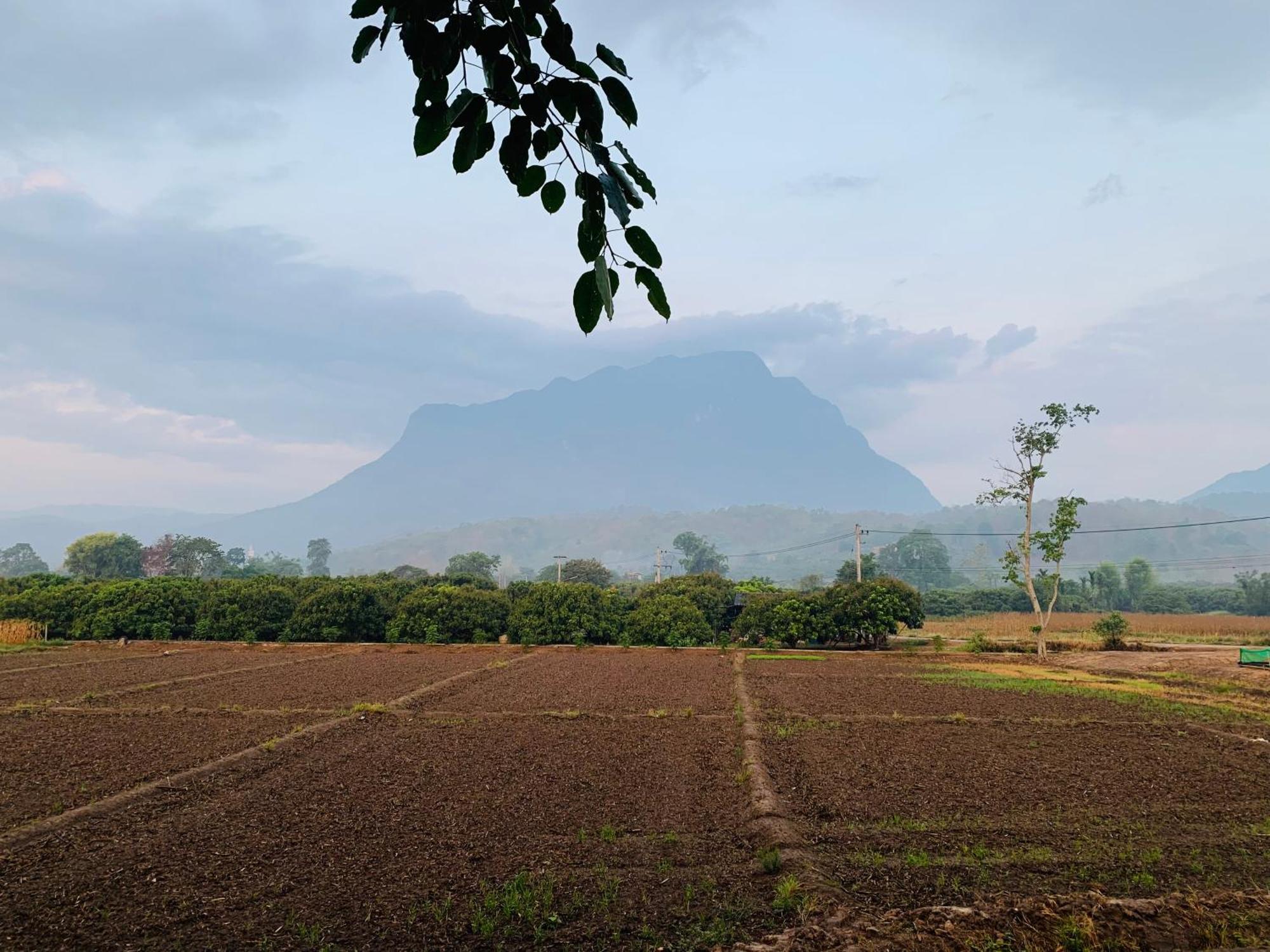 Готель Krathom Doi Luang Чіанґдау Екстер'єр фото