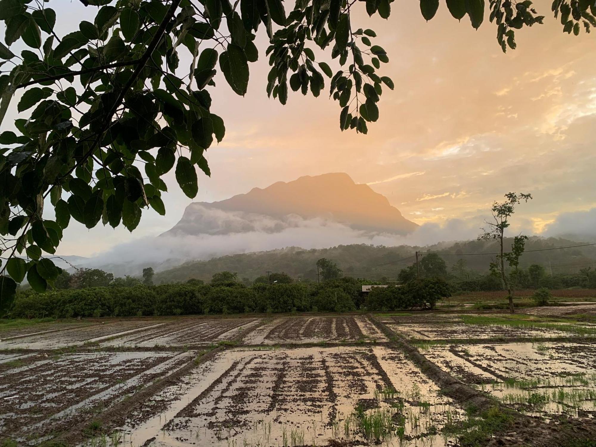 Готель Krathom Doi Luang Чіанґдау Екстер'єр фото